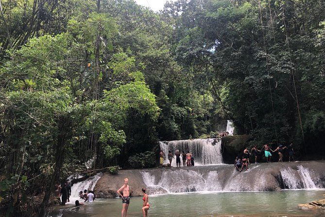 Black River Safari, YS Falls and Appleton Estate - Appleton Estate and the Rum-Making Process
