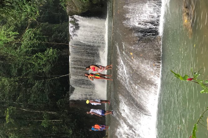Black River Safari, YS Falls and Appleton Estate - What the $138.47 Price Really Buys