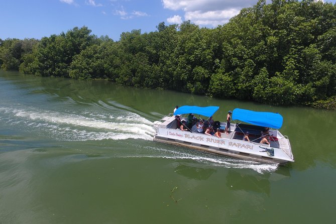 Black River Safari, YS Falls and Appleton Estate - The Drive From Negril: Plan for Rough Roads