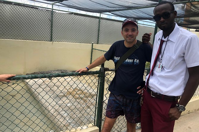Black River Safari, YS Falls and Floyd's Pelican Bar - Timing, comfort, and the shape of the day