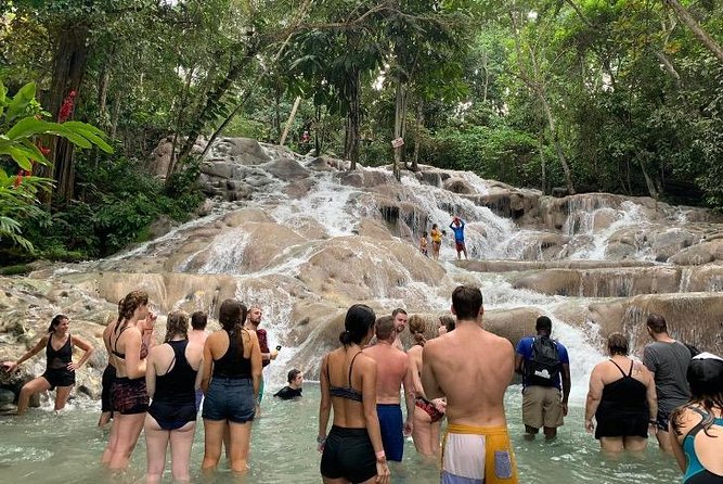 Blue Hole and Dunn's River Falls Private Tour from Montego Bay - The ride from Montego Bay to the falls