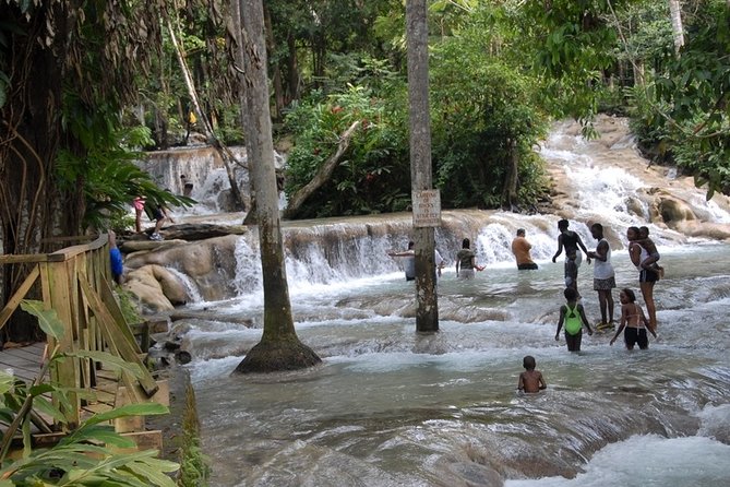 Blue Hole and Dunn's River Falls Tour from Montego Bay - Who should book this tour?