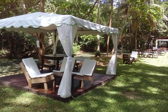 Blue Hole and Dunn’s River Falls Tour with Lunch and Cocktails at Reggae Hill - What the $159 price includes in practical terms