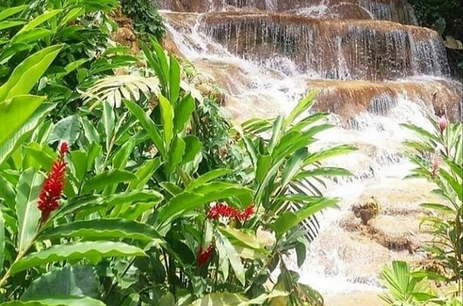 Blue Hole And Konoko Falls Combo Tour From Ocho Rios & Runaway Bay! - The small van can make a big difference