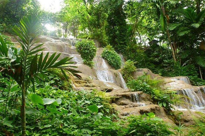 Blue Hole And Konoko Falls Combo Tour From Ocho Rios & Runaway Bay! - Timing matters for cruise passengers
