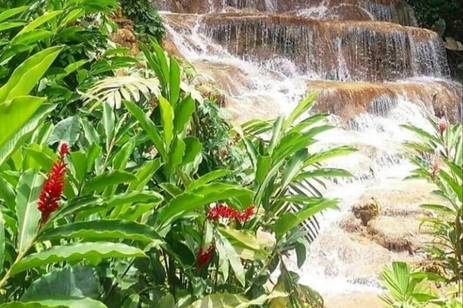 Blue Hole And Konoko Falls Combo Tour From Ocho Rios & Runaway Bay! - What to pack for the river and falls