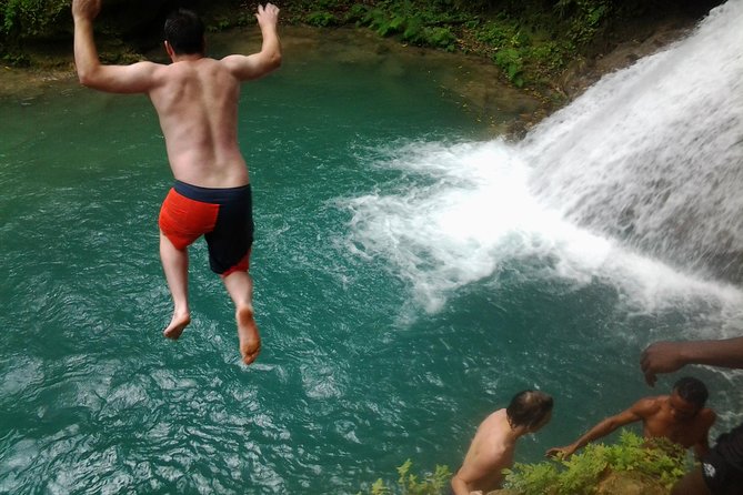 Blue Hole, Dunn's River Falls Luminous Lagoon Excursion From Montego Bay - Key points at a glance