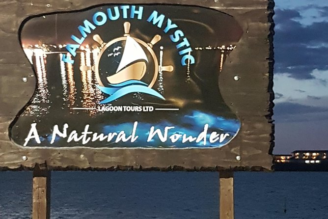 Blue Hole, Dunn's River Falls Luminous Lagoon Excursion From Montego Bay - What the $210.33 price really covers
