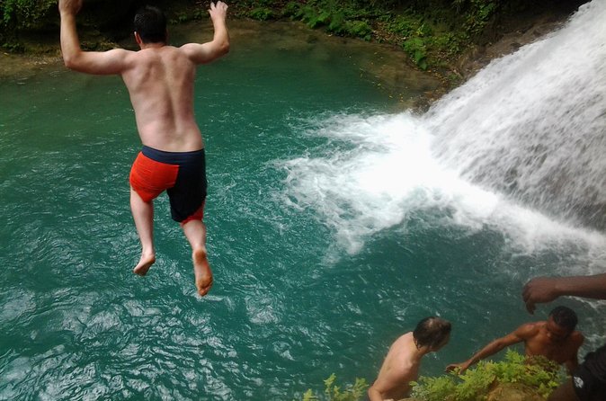 Blue Hole, Dunn's River Falls Luminous Lagoon Excursion From Montego Bay - The guide can shape the entire day
