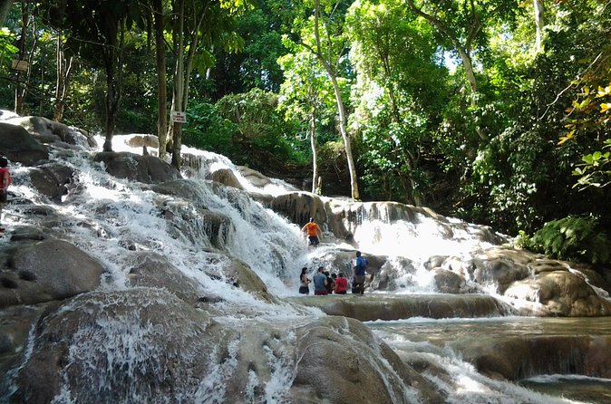 Blue Hole, Dunn's River Falls Luminous Lagoon Excursion From Montego Bay - Physical demands, packing, and pacing