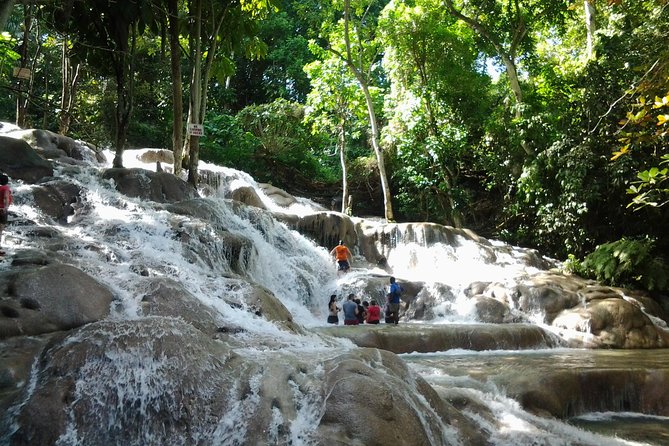 Blue Hole, Dunn's River Falls Luminous Lagoon Excursion From Montego Bay - Blue Hole brings caves, pools, and a rope swing