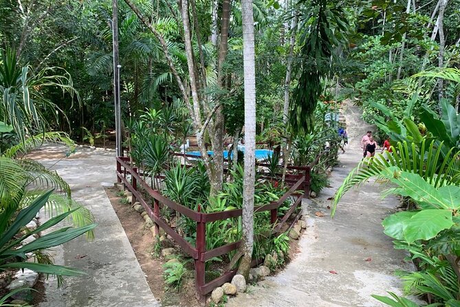 Blue Hole & Dunn's River Falls with Lunch from Negril - Lunch is convenient, but manage your wet clothes