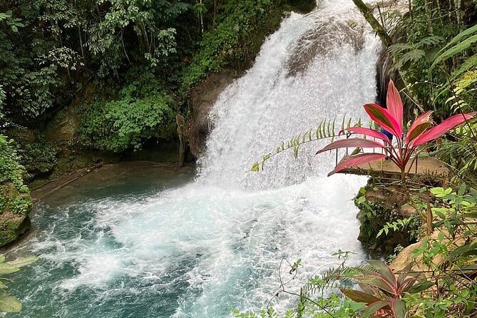 Blue Hole from Ocho Rios - Jumps, Rope Swings, and Swimming Choices