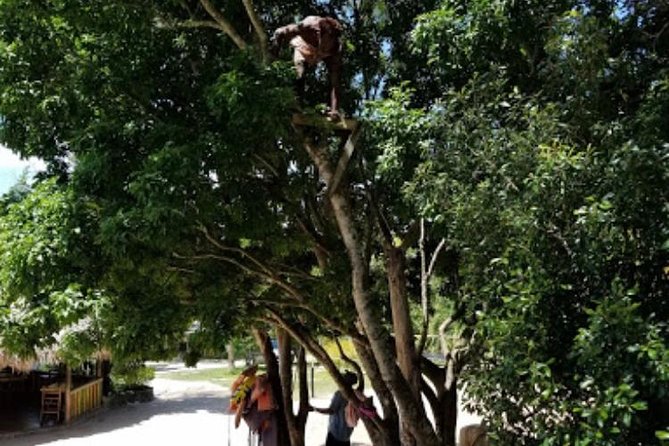 Blue Hole Mineral Spring and Ricks Cafe Private Tour - What the $160 price really covers
