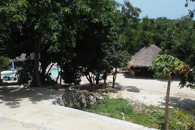 Blue Hole Mineral Spring and Ricks Cafe Private Tour - Is the Blue Hole and Rick’s Cafe tour worth booking?