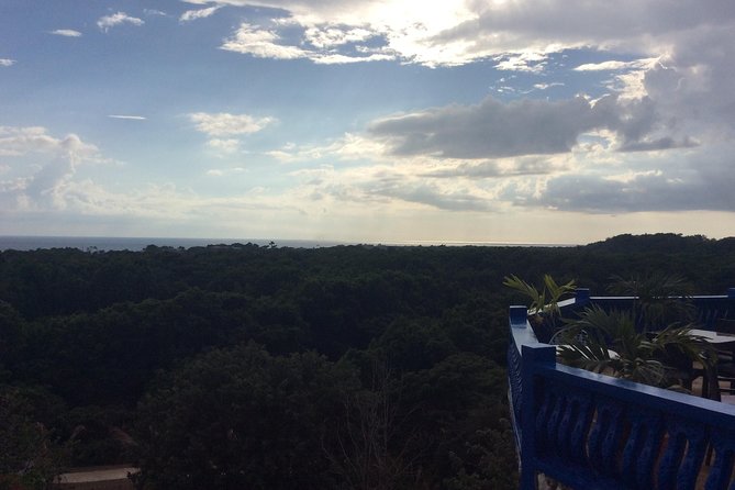 Blue Hole Mineral Springs, Rick's Café, and Shopping Combo Tour - Why this Negril combination works