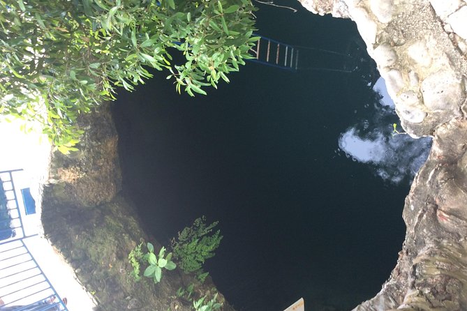 Blue Hole Mineral Springs, Rick's Café, and Shopping Combo Tour - Your driver can make the difference