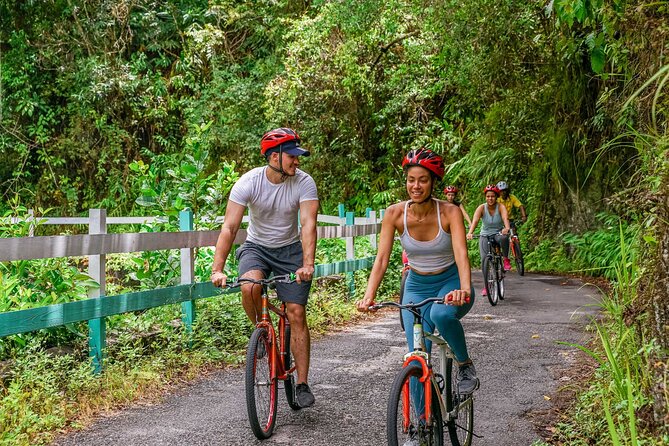 Blue Mountain Bicycle Tour - Is the $144.84 price good value?