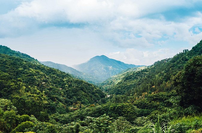 Blue Mountain Bicycle Tour - Who will enjoy this tour most?