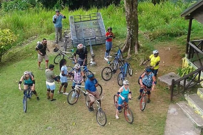 Blue Mountain Bicycle Tour from Montego Bay - What this Blue Mountain day is really like