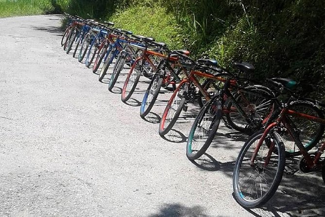 Blue Mountain Bicycle Tour from Montego Bay - Is $192.31 a fair price?