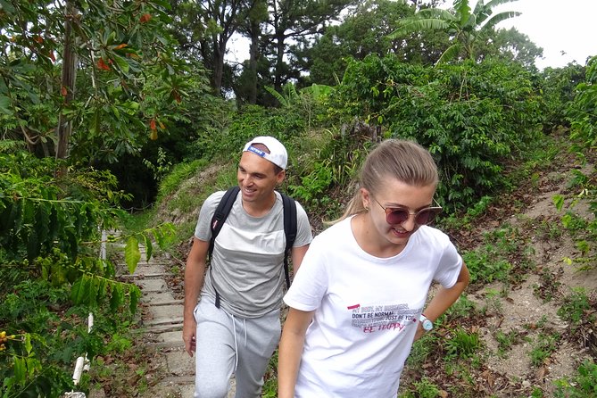 Blue Mountain Coffee and Sightseeing Tour - Who will enjoy this mountain outing most
