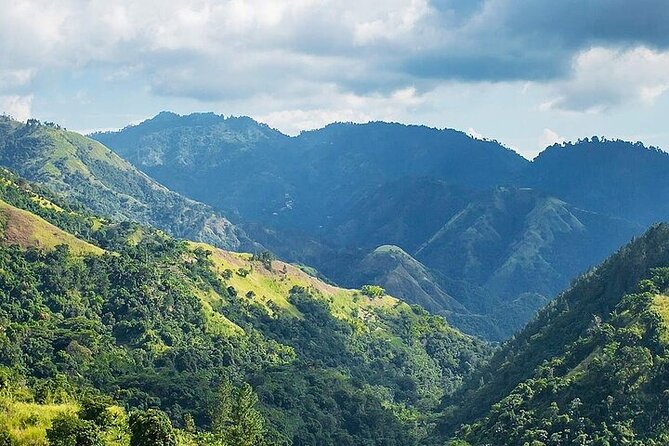 Blue Mountain Coffee, Bob Marley and Art Tour from Montego Bay - Craighton Estate is the main coffee experience