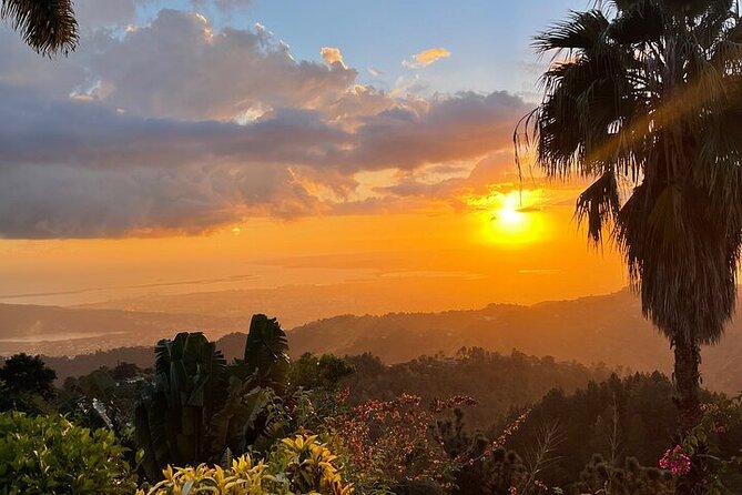 Blue Mountain Coffee, Bob Marley and Art Tour from Montego Bay - What the $315 price really covers