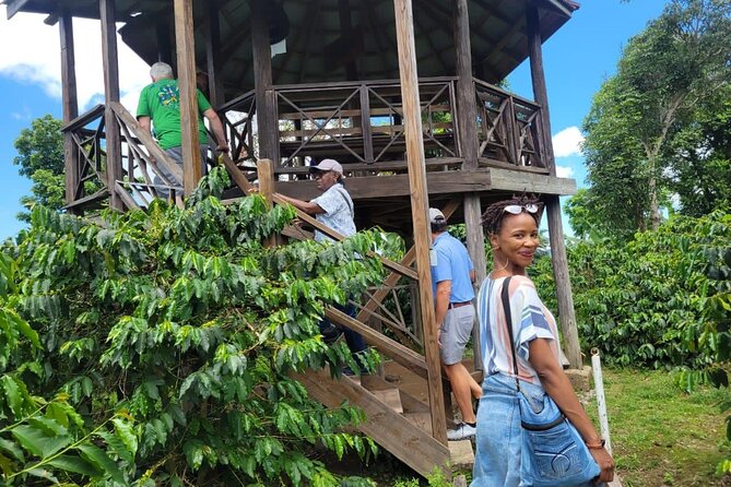 Blue Mountain Path Finder - Drinking coffee on the old verandah