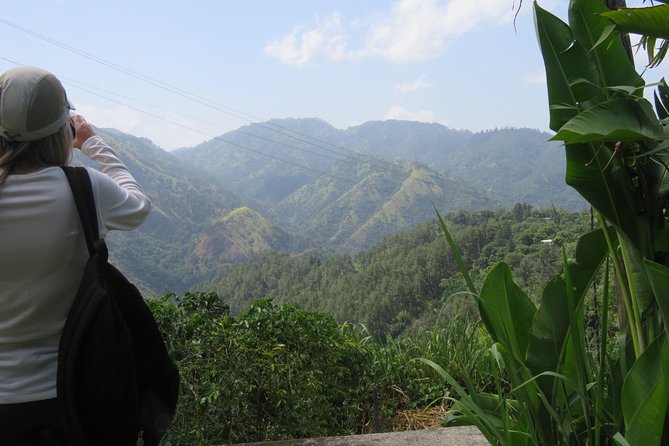 Blue Mountain Path Finder - A mountain cafe stop with lunch on your own