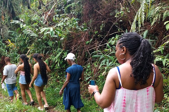 Blue Mountain Sight-Seeing & Nature Trail Hike with Private Guide - From Ocho Rios to the Blue Mountains