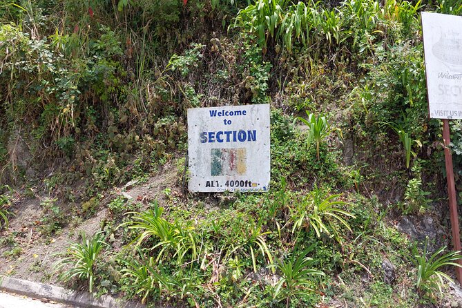 Blue Mountain Sight-Seeing & Nature Trail Hike with Private Guide - Holywell Park and the Main Hike