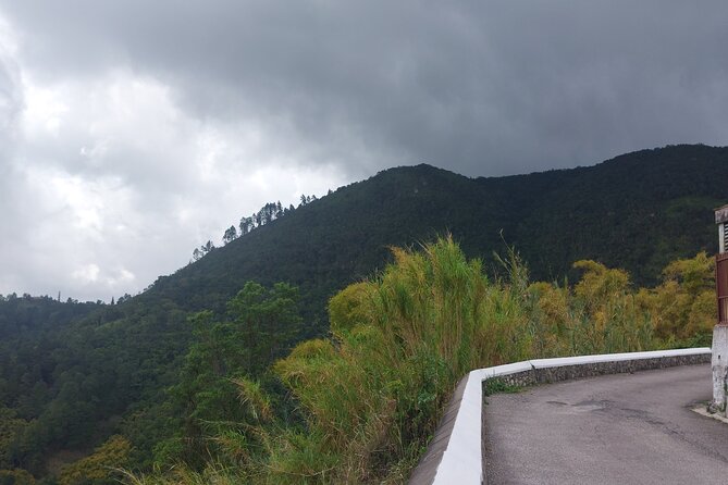 Blue Mountain Sight-Seeing & Nature Trail Hike with Private Guide - What the $200 Price Covers