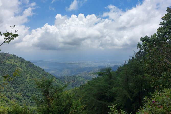 Blue Mountain Sight-Seeing & Nature Trail Hike with Private Guide - Who Will Enjoy This Blue Mountain Outing