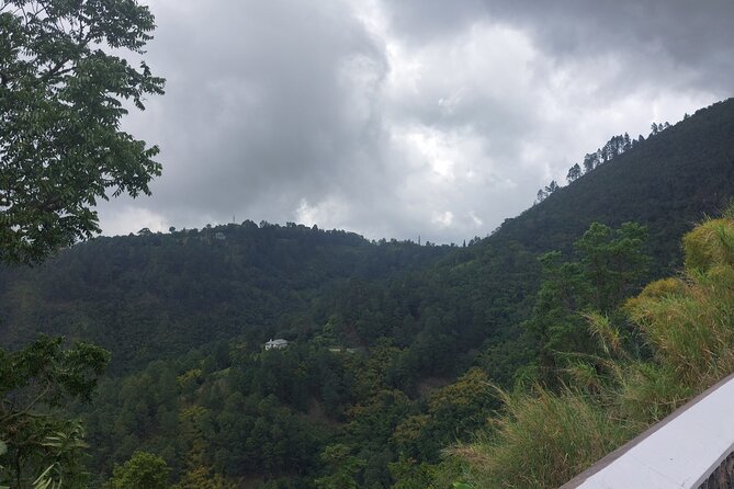 Blue Mountain Sight-Seeing & Nature Trail Hike with Private Guide - How to Prepare for the Trail