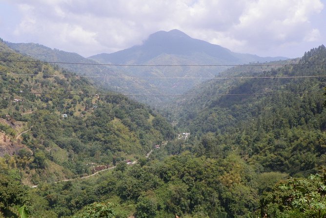 Blue Mountain Tour with Hotel Transportation - Key points to know before you go