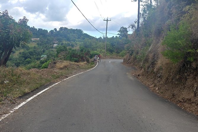 Blue Mountains Coffee Private Tour from Kingston - Learning how Jamaican coffee is made
