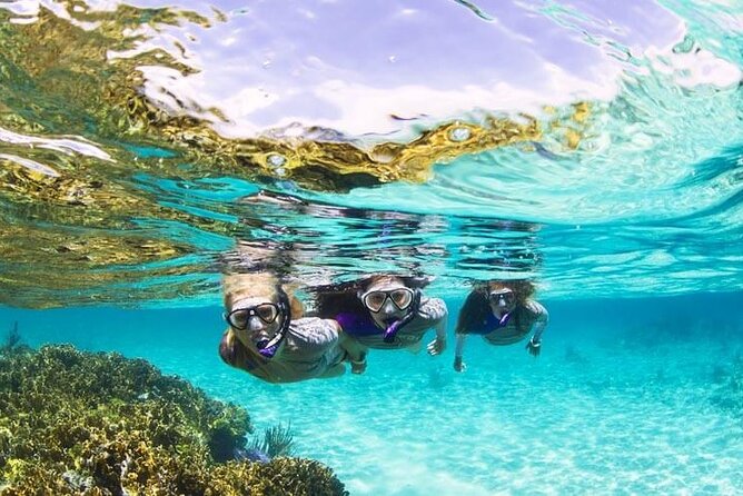 Boatride & Snorkeling then Margaritaville Hipstrip Activity - Montego Bay snorkeling followed by the Hip Strip