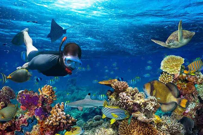 Boatride & Snorkeling then Margaritaville Hipstrip Activity - Is $40 a good value?