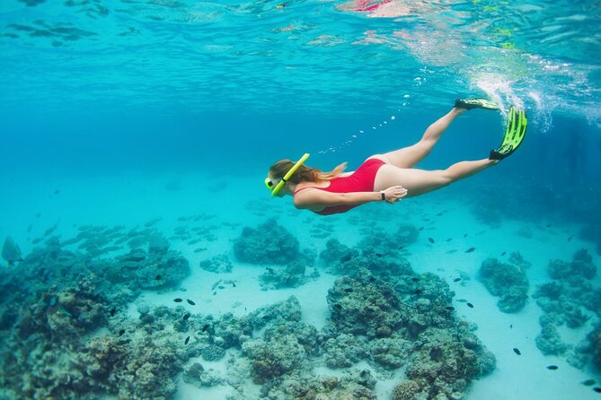 Boatride & Snorkeling then Margaritaville Hipstrip Activity - Who will enjoy this excursion most?