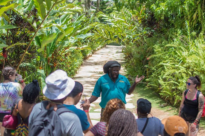 Bob Marley 9 Mile Tour Admission - Timing your visit near Montego Bay