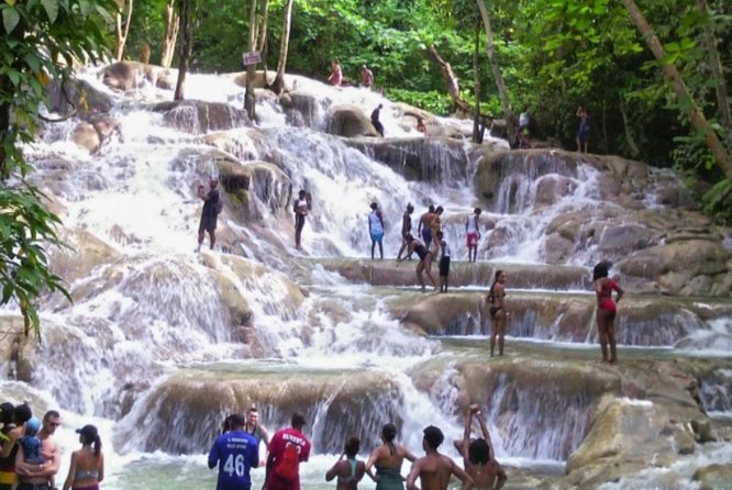 Bob Marley Nine Mile and Dunn's River Falls Tour From Montego Bay - Who will enjoy this tour most?