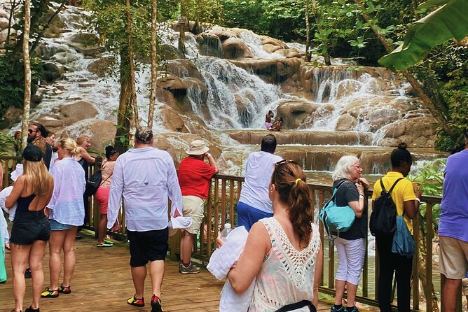 Bob Marley Nine Mile and Dunns River Combo from Ocho Rios - Who Should Book This Six-Hour Outing?