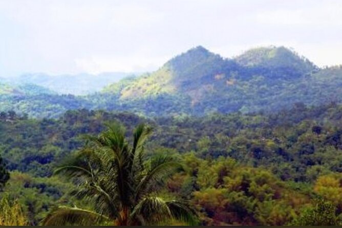Bob Marley Nine Mile Home Private Tour from Montego Bay - Key points to know before booking