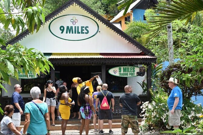 Bob Marley Nine Mile Home Private Tour from Montego Bay - The mountain road to Nine Mile