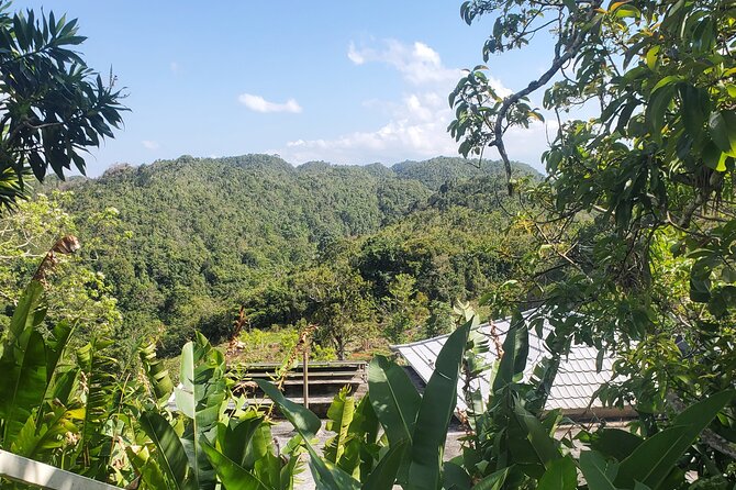 Bob Marley Nine Mile Home Private Tour from Montego Bay - Private transport changes the pace