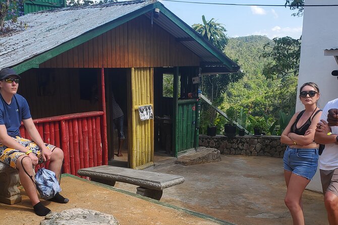 Bob Marley Nine Mile Home Private Tour from Montego Bay - Who will enjoy this outing most?