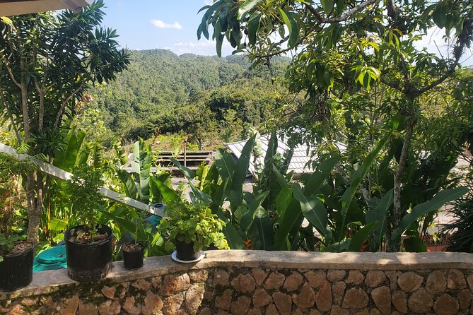 Bob Marley Nine Mile Home Private Tour from Montego Bay - Should you book the Nine Mile tour?
