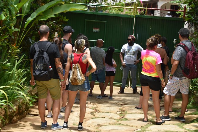 Bob Marley's Nine Mile Admission and Guided Tour from Montego Bay - The road from Montego Bay to Jamaica’s interior