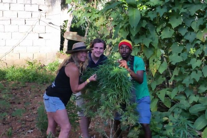 Bob Marley's Nine Mile & Dunns River Falls Tour: Transportation & Ticket - What the private format changes